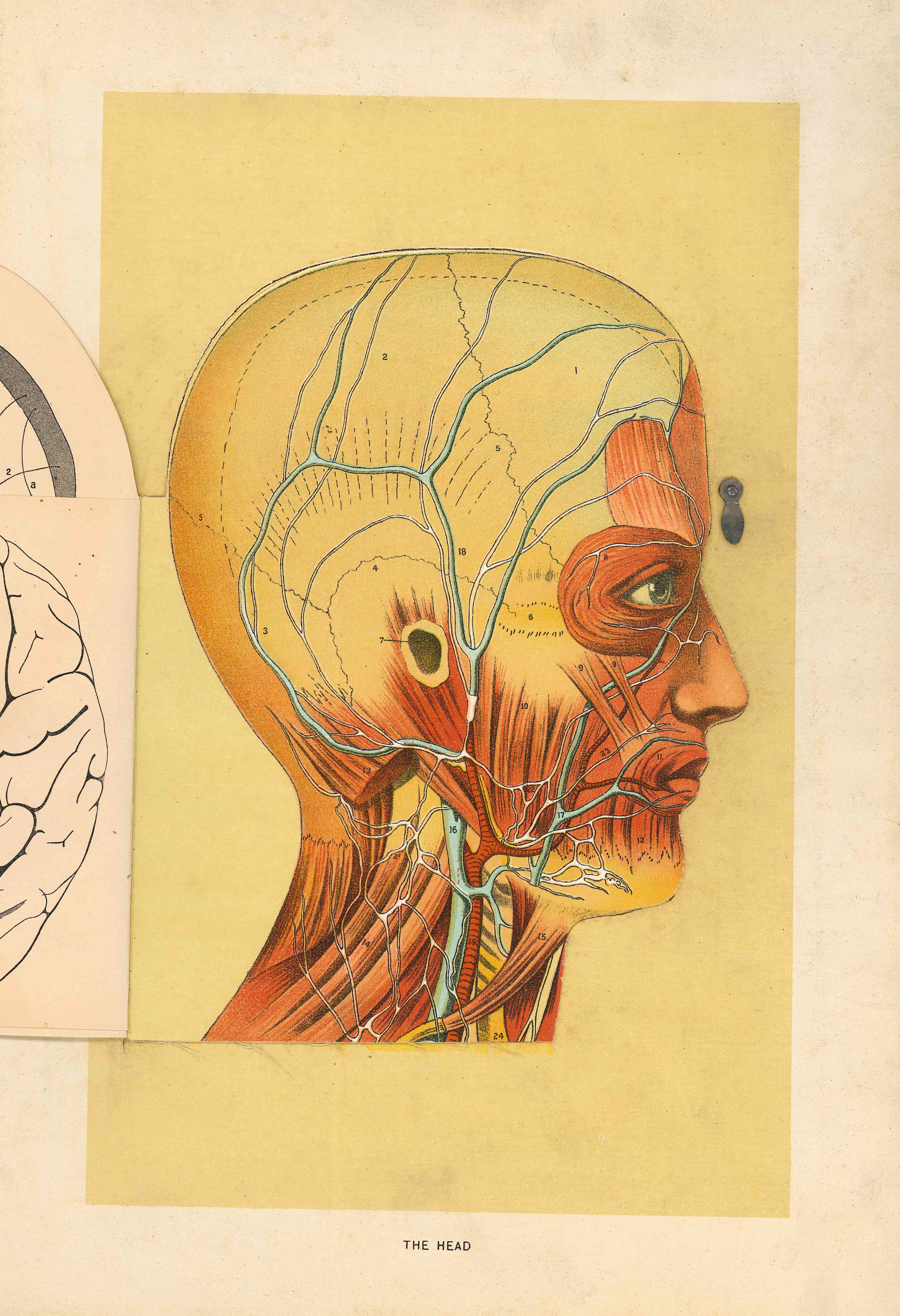 History of Science and Medicine