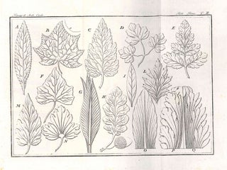 Principii di Architettura Civile di Francesco Milizia. Quarta Edizione Veneta, Riveduta, Emendata, ed Accresciuta di Figure Disegnate ed Incise in Roma da Gio. Battista Cipriani Sanese.