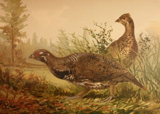 Upland Game Birds and Water Fowl of the United States.