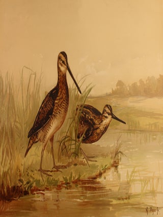 Upland Game Birds and Water Fowl of the United States.