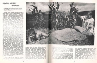 Psychedelic Review. Vol. 1, No. 1 (June 1963) through No. 11 (Winter 1970/1971) (all published).