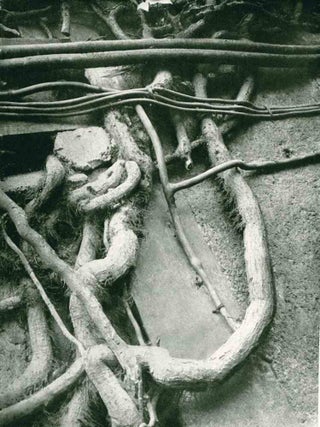 Le Phare de Neuilly: Revue Mensuelle. No. 1 (n.d.) through 3-4 (n.d.) (all published).