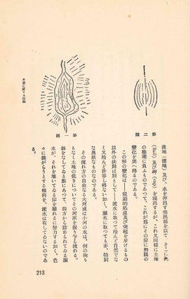 Zotei Kenchiku.