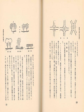 Zotei Kenchiku.