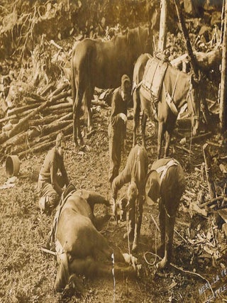 Collection of Photographs of Coal & Oil Extraction and Exploration in Alaska.