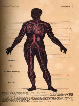 Book ID: 53639 Connais-Toi, Toi-même notions de physiologie. A l'usage de la jeunesse et...