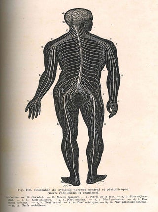 Connais-Toi, Toi-même notions de physiologie. A l'usage de la jeunesse et des gens du monde. Ouovrage illustré.