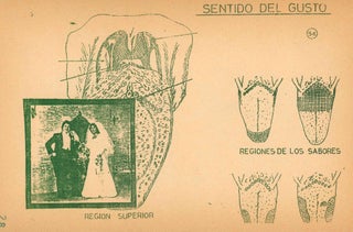 Paso de Peatones. No. 3 (Julio 1980).