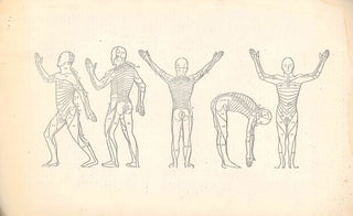 Image. Witte Pers Zondagsblad. Nos. 1 (8 July 1966) through No. 8 (24 September 1966) (all published).