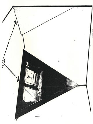 Nanda Vigo.